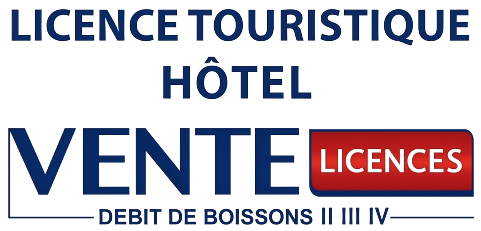 Licence 4 touristique